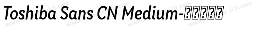 Toshiba Sans CN Medium字体转换